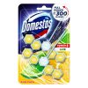 Toalett öblítő DOMESTOS Power5 Lime 2x50 g