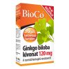 Vitamin BIOCO Gingko Biloba Megapack 90 darab