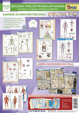 STIEFEL Tanulói munkalap csomag, 5 munkalap, 1 alátét, filc, STIEFEL "Biológia"